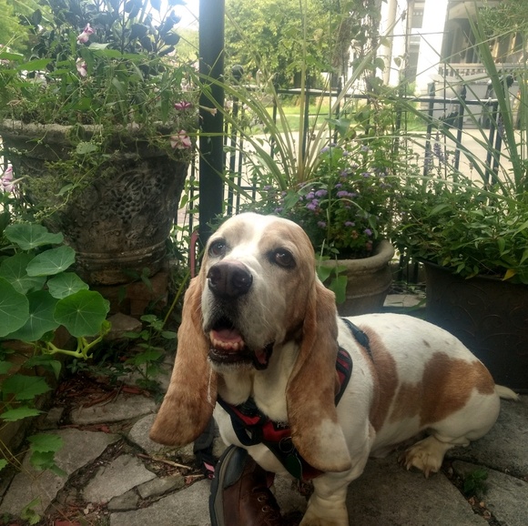 Meet your Posher, Charlotte - Picture 1 of 1